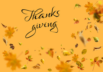 Happy Thanksgiving Greeting, Autumn Leaf Background and text Happy Thanksgiving