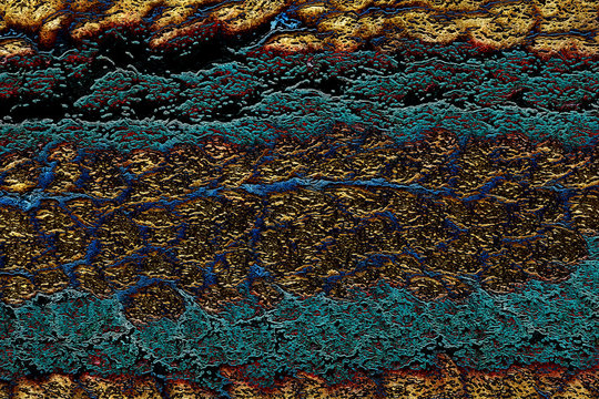 Secci&oacute;n transversal de un campo de hierba y trigo con sustrato dorado. Fondo art&iacute;stico de fantas&iacute;a. Ilustraci&oacute;n de naturaleza idealizada.