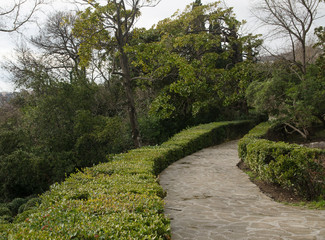 Park in Alupka (Crimea)