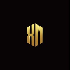 X M modern monogram style initial logo template
