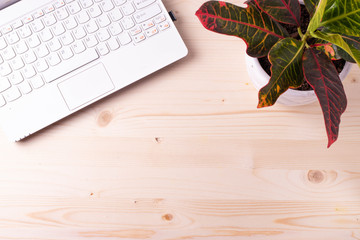 white keyboard and a plant