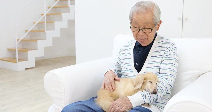 犬を抱くシニア　（移動撮影）