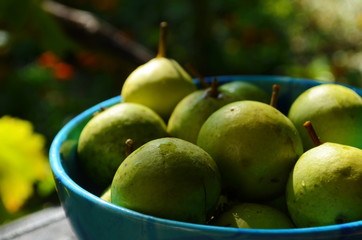 Fresh little pear in the blue plate.