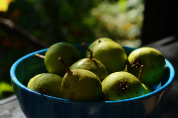 Fresh little pear in the blue plate.