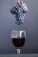 Pouring red wine into the glass from the grapes