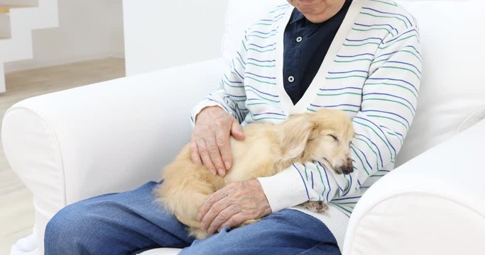 犬を抱くシニア