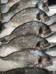 Raw fish pink salmon ready for sale in the supermarket. Close-up shot. Shop window with fish products