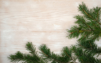 pine branches with cones on a light oak background, space for text