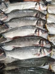 Raw fish pink salmon ready for sale in the supermarket. Close-up shot. Shop window with fish products