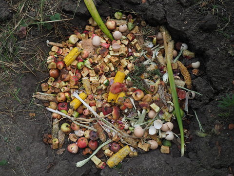 pit for garbage from organic products