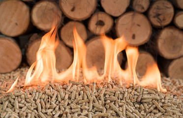 Coniferous wood pellets in flames. Wood biomass