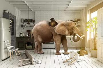 Türaufkleber Chaos in der Küche – Elefant sucht nach Nahrung © Mediaparts