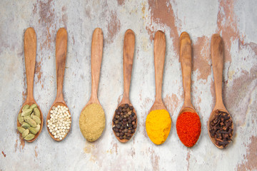 Aromatic spices on wooden spoons. Food ingradients.

