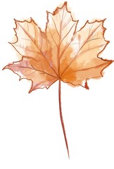 yellow autumn leaf on white background