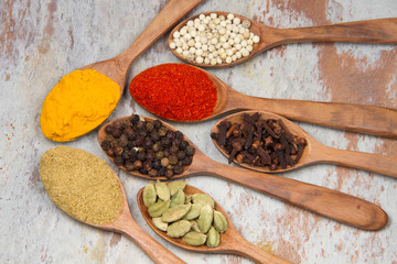 Aromatic spices on wooden spoons. Food ingradients.


