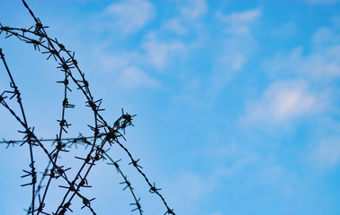 有刺鉄線　空　素材