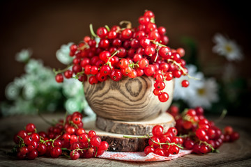 Fresh red currants in plate on dark rustic wooden table. Background with copy space. Selective focus.