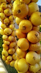 hanging bunches of onions to dry outside.