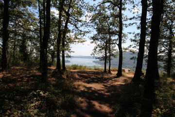 The pathway to the point view of Lake Vico, is surrounded by the Cimini Hills, in particular by the Fogliano and Venere mountains.  It is part of the Lake Vico Natural Reserve.