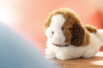 フワフワボールに囲まれたぬいぐるみの子犬