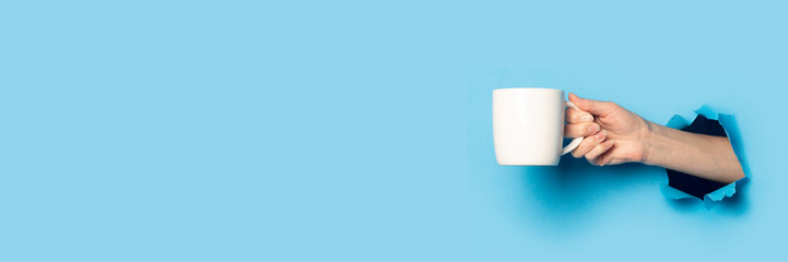 Female hand holding a white cup on a bright blue background. Banner.