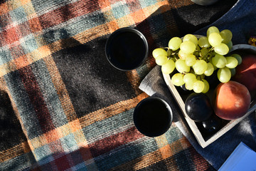 Autumn picnic tea thermos with grapes and peaches. Fruits and Tea on blanket. Outdoor lunch. Picnic...