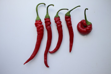 Chili pepper isolated on a white background