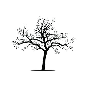 Black Tree with Leaves Vector icon. Flora Illustration sign. park symbol.