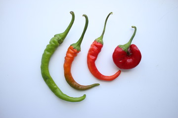 Chili pepper isolated on a white background
