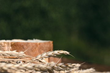Freshly baked bread with wheat ears on wooden table