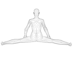 The contour of a girl sitting on a twine. Back view. 3D. Vector illustration