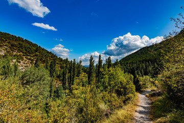 Fototapeta premium Paseo por el cañon y barranco Arandari del Municipio de Burgi /Burgui