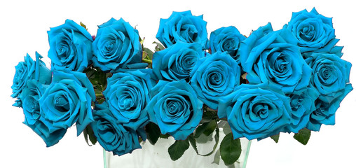 an ordered bouquet of large blue roses in a glass vase on a white background