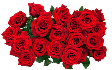 bouquet of red roses on a white background, top view