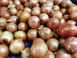 Pile of freshly harvested organic sweet red onions  in different sizes, selective focus