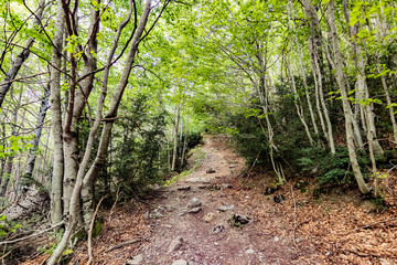 Parajes durante la subida al monte Ezkaurre/Ezcaurre situado entre navarra y huesca