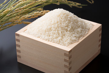 白米と稲穂