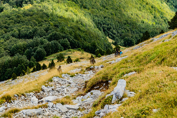 Parajes durante la subida al monte Ezkaurre/Ezcaurre situado entre navarra y huesca
