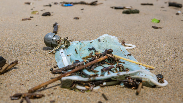 Hermit Crab With A Tube Plastic Is Walking Near Used Mask Garbage