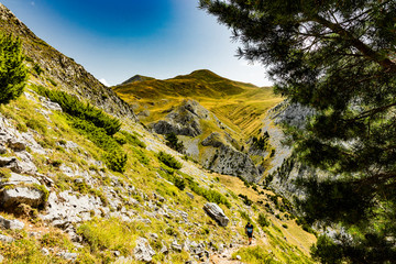 Vista durante la subida y bajada al Ibon de acherito desde la Selva de Oza, Huesca