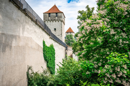 View of Lucerne Musegg wall an ancient ramparts and towers and tree full of white flowers in Luzern Switzerland