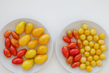 Two gray plates with various tomatoes heirlooms. Yellow and red fresh tomato flat lay. Bio vegetables.