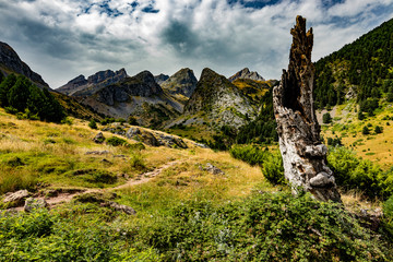 Vista durante la subida y bajada al Ibon de acherito desde la Selva de Oza, Huesca