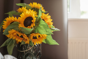 A bouquet of sunflowers in a vase by the window. © Iaroslava Zolotko