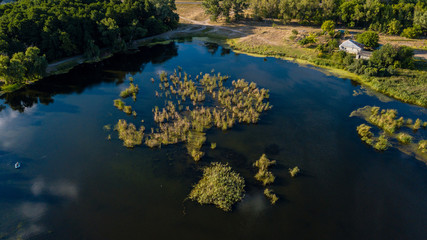 Drone photo over beautiful lake with green trees
