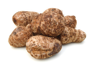 Closeup of taro on white background