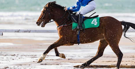 Close up on galloping race horse  kicking up sand on the beach, west coast of Ireland