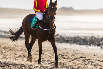 Race horse and jockey waling on a sandy beach, west coast of Ireland