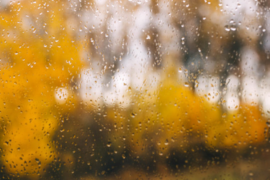 rain drops on the window, golden in the fall. rainy season. storm, hurricane, downpour.