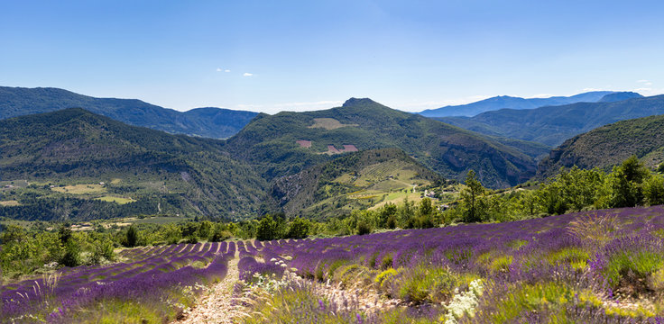 Dr&ocirc;me proven&ccedil;ale